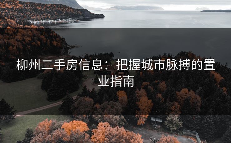柳州二手房信息：把握城市脉搏的置业指南