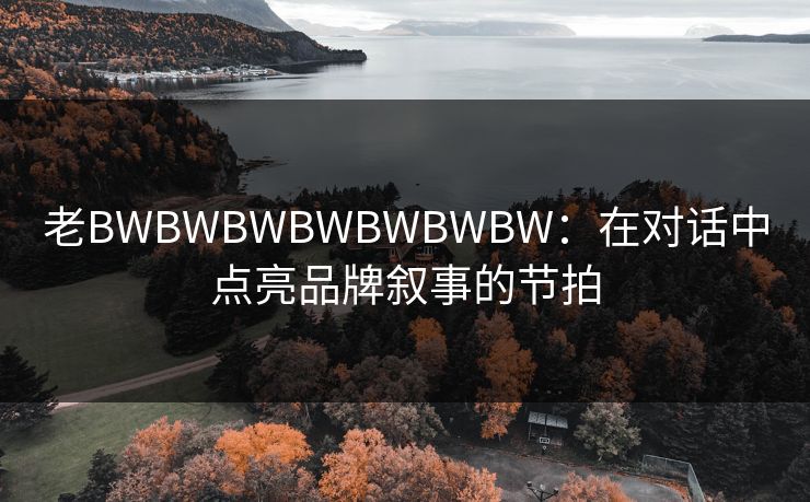 老BWBWBWBWBWBWBW：在对话中点亮品牌叙事的节拍
