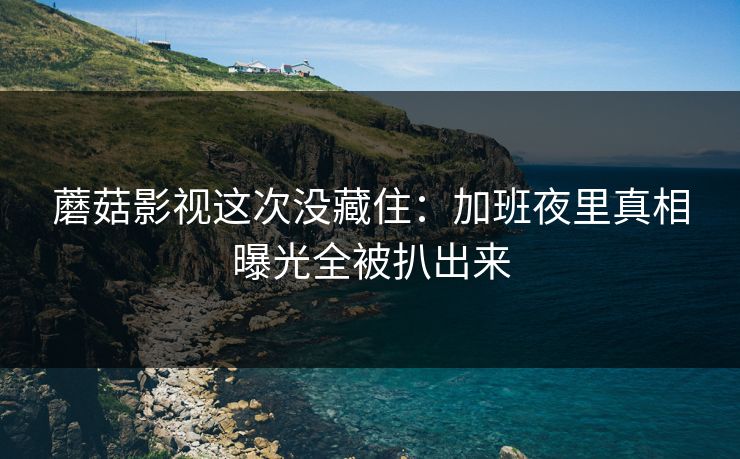 蘑菇影视这次没藏住：加班夜里真相曝光全被扒出来